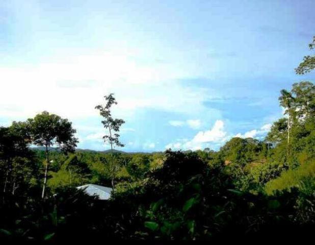 Huella Verde Rainforest Lodge Canelos Luaran gambar