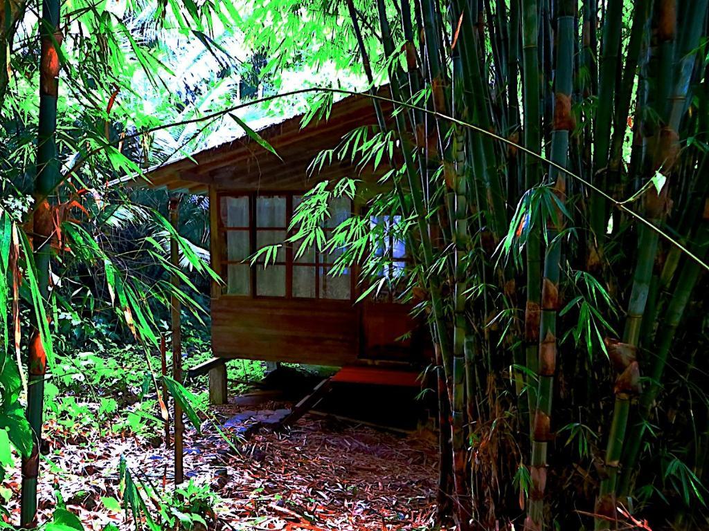 Huella Verde Rainforest Lodge Canelos Bilik gambar