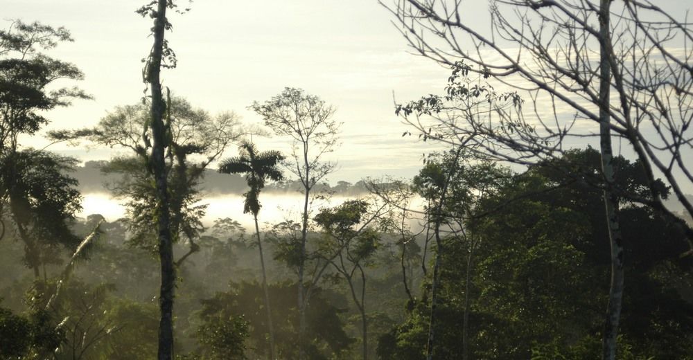 Huella Verde Rainforest Lodge Canelos Luaran gambar