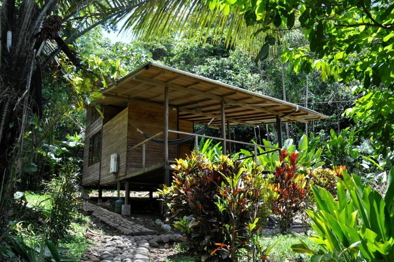 Huella Verde Rainforest Lodge Canelos Luaran gambar